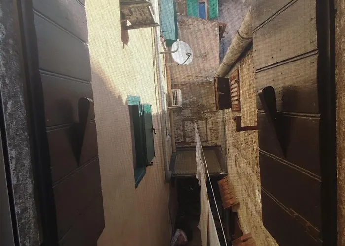 Barka Rovinj