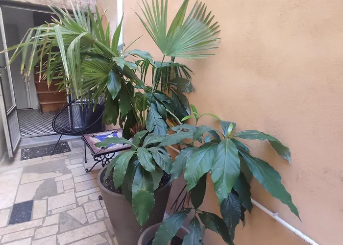 Barka Apartment