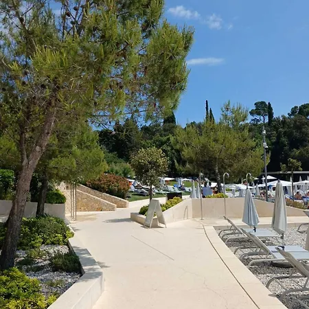 Barka Rovinj